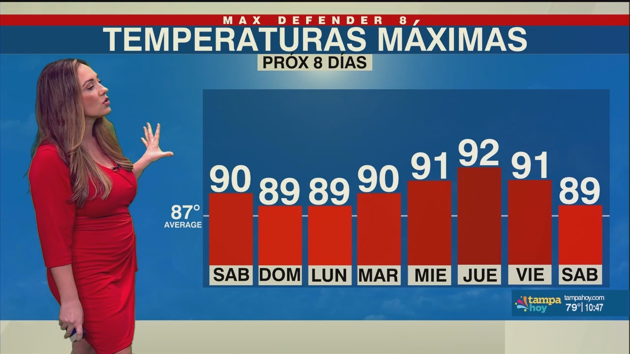 Noticias Tampa Hoy_20240504_03300400.ts_snapshot_18.00.397