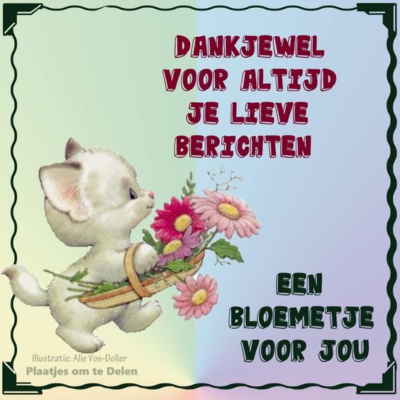 01cc05217763594a224b3d88aa296d8c