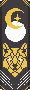 o205-d05-The-Aweso-Mew.png