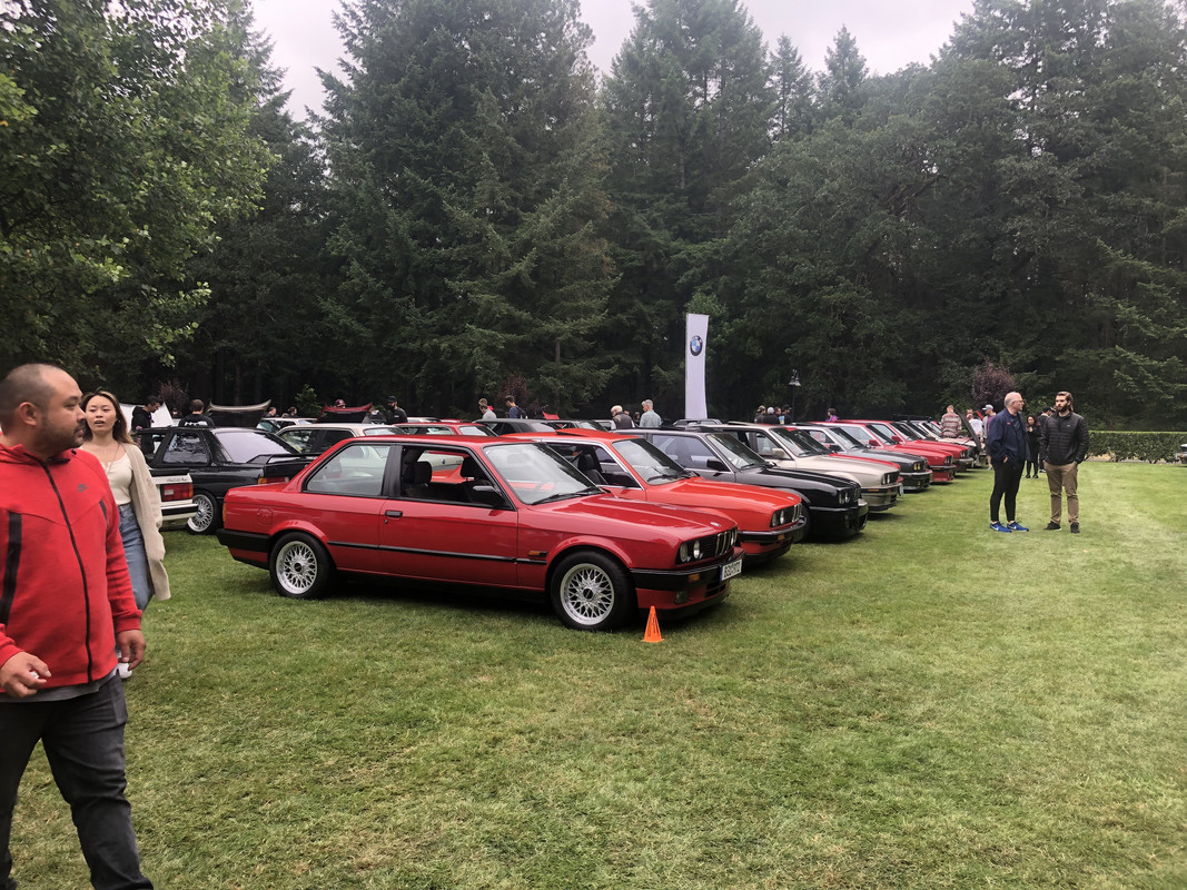 62EC6224-58F8-4DD1-BF32-2236042E265E