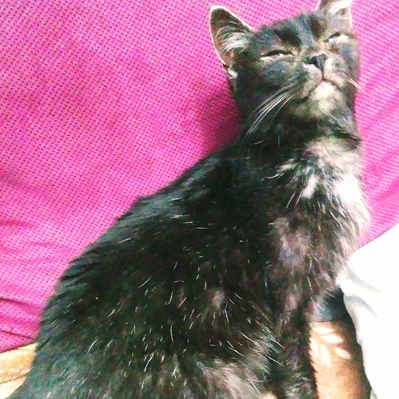 IMG_20220211_183650_529