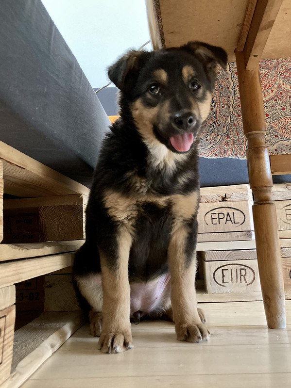 изображение_viber_2021-01-18_14-00-10