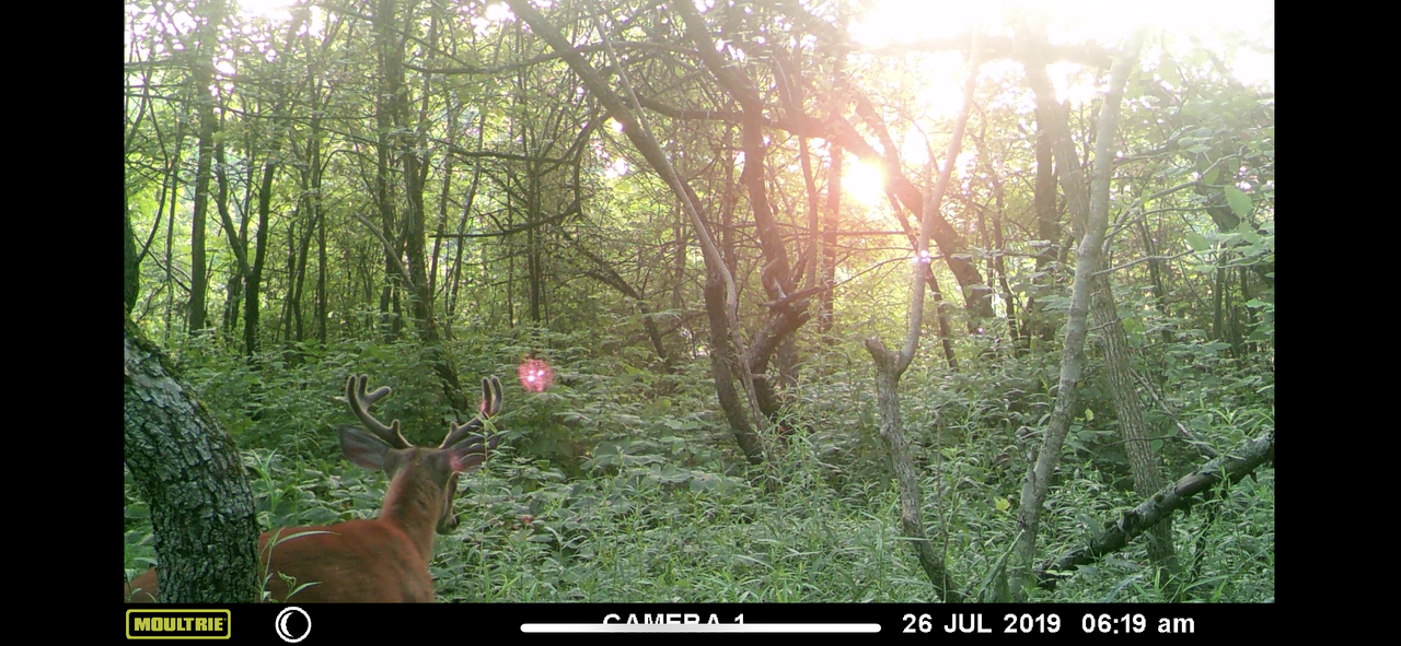 65819E2F-542B-4329-B35E-64617126CFAB