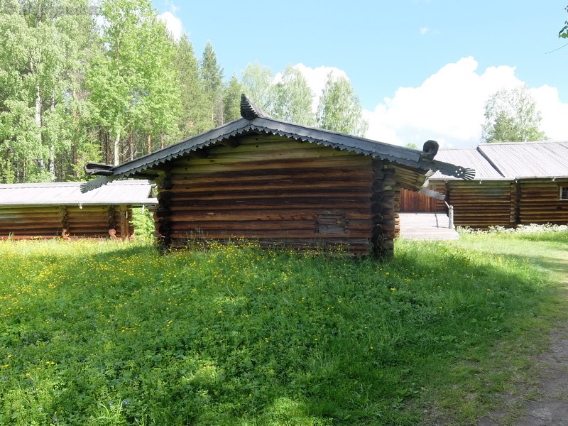 DSCF7837