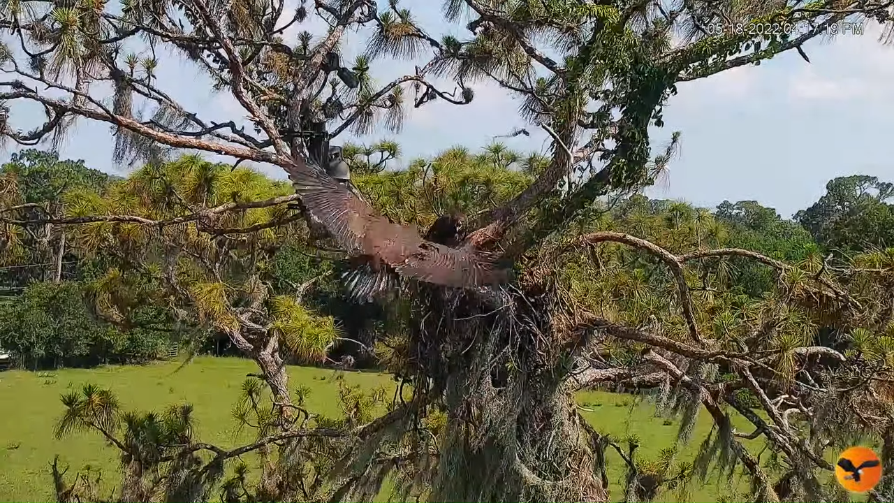 EC Remote Cam 2-34-46 screenshot (1)