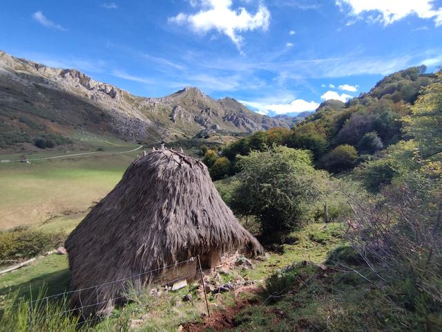 Otro puente en Asturias - Blogs de España - Domingo 11 Octubre. Ruta Valle del Lago (Somiedo) (18)