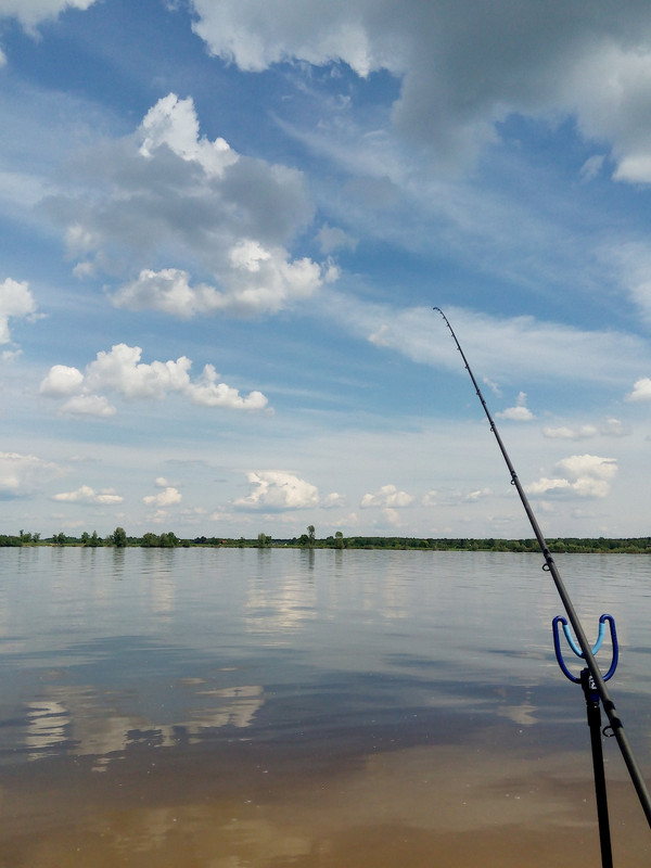 Клепики 12.06.16