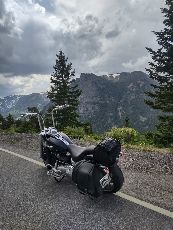 IMG_20250615_152540704_HDR