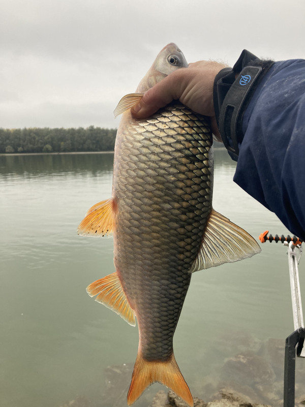 7B2EB110-3D52-4921-8C78-4DA6B9293282