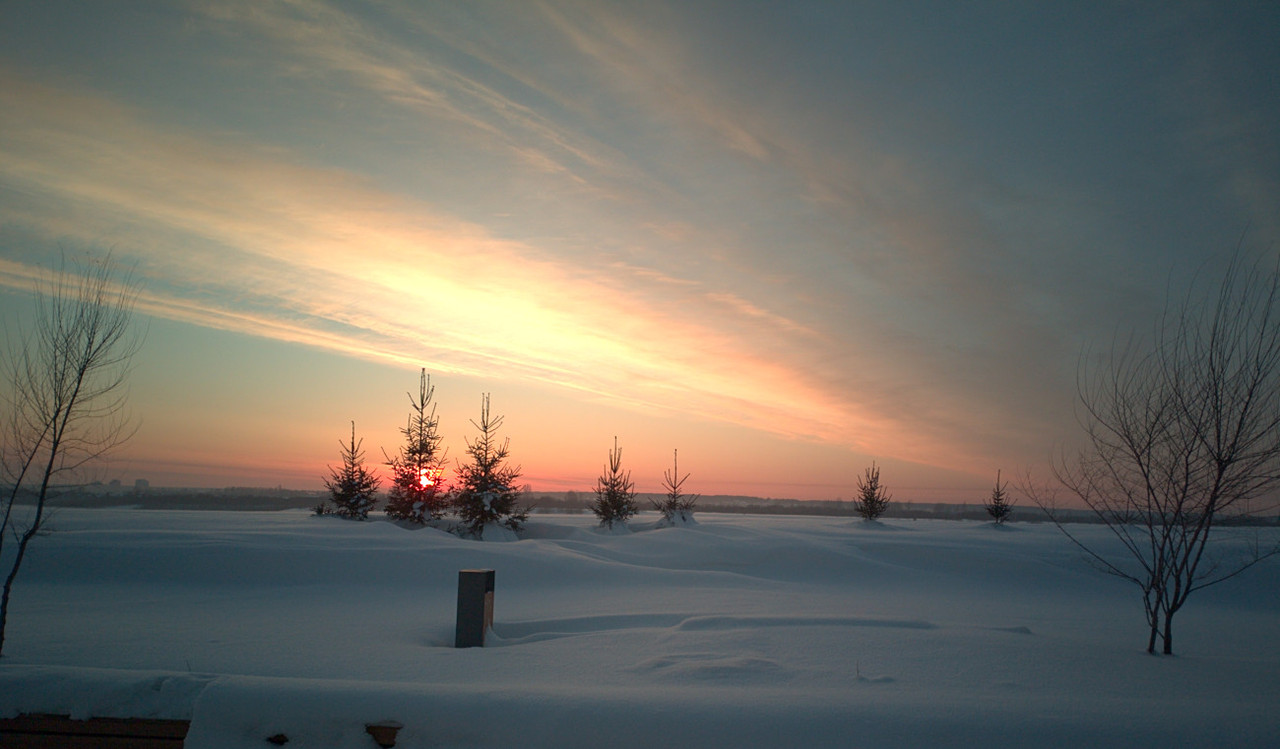 IMG_20230203_174109_1