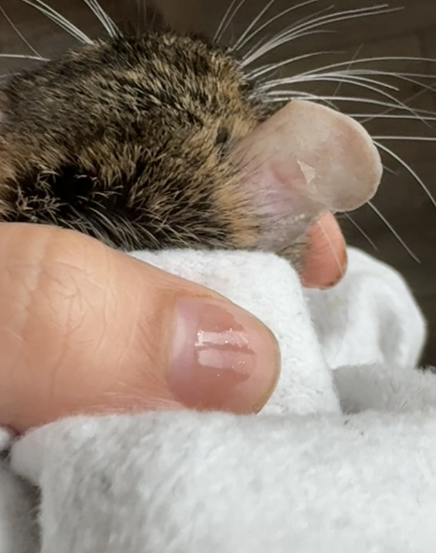 CD5B0573-5199-4C7E-B830-43EFEF7826C3