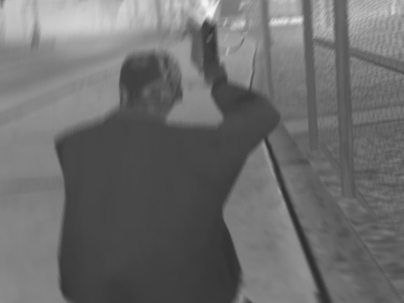 PURPS-27.png
