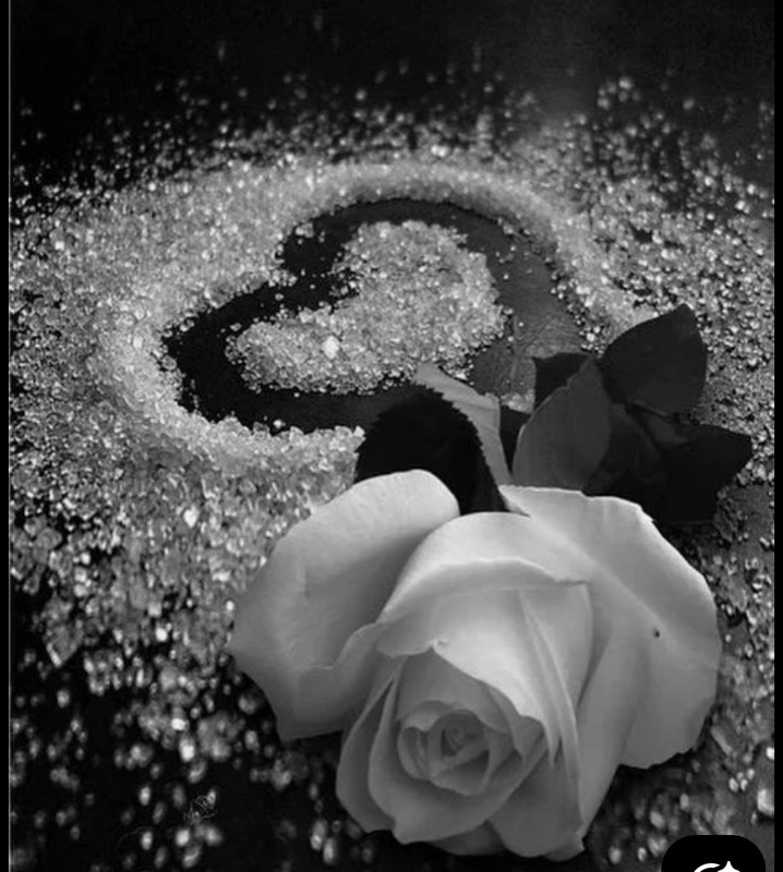 Screenshot_20251004_185002_Pinterest