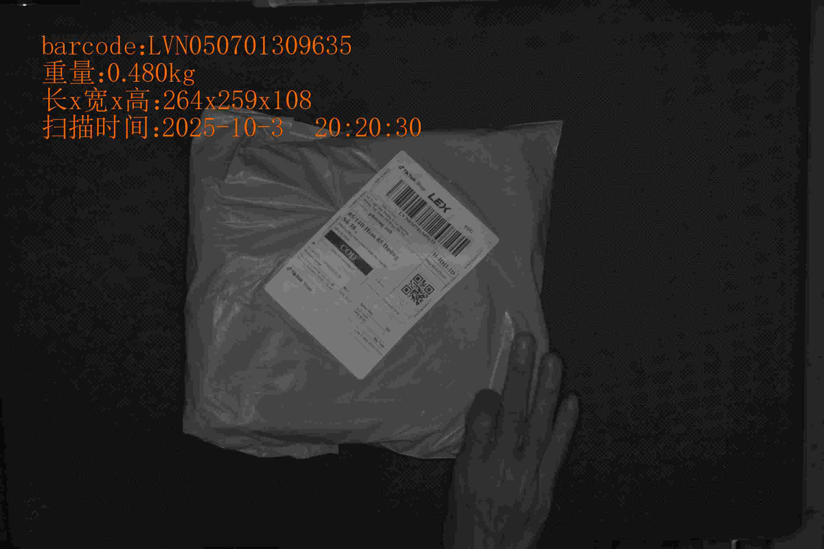 2025103202030_LVN050701309635_0.480_264_259_108
