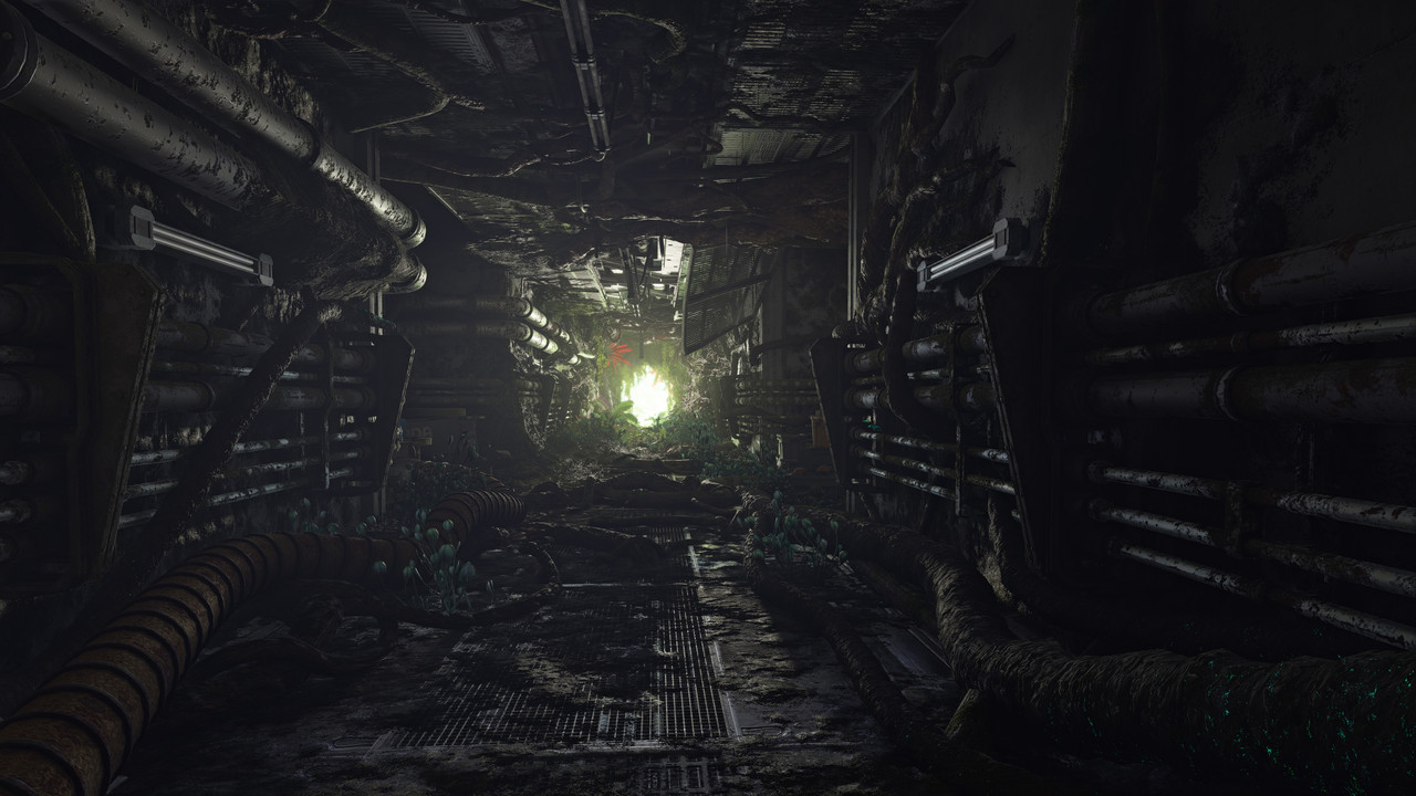 afop 2026 01 08 00 02 05 955