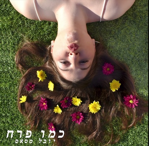 תמונה