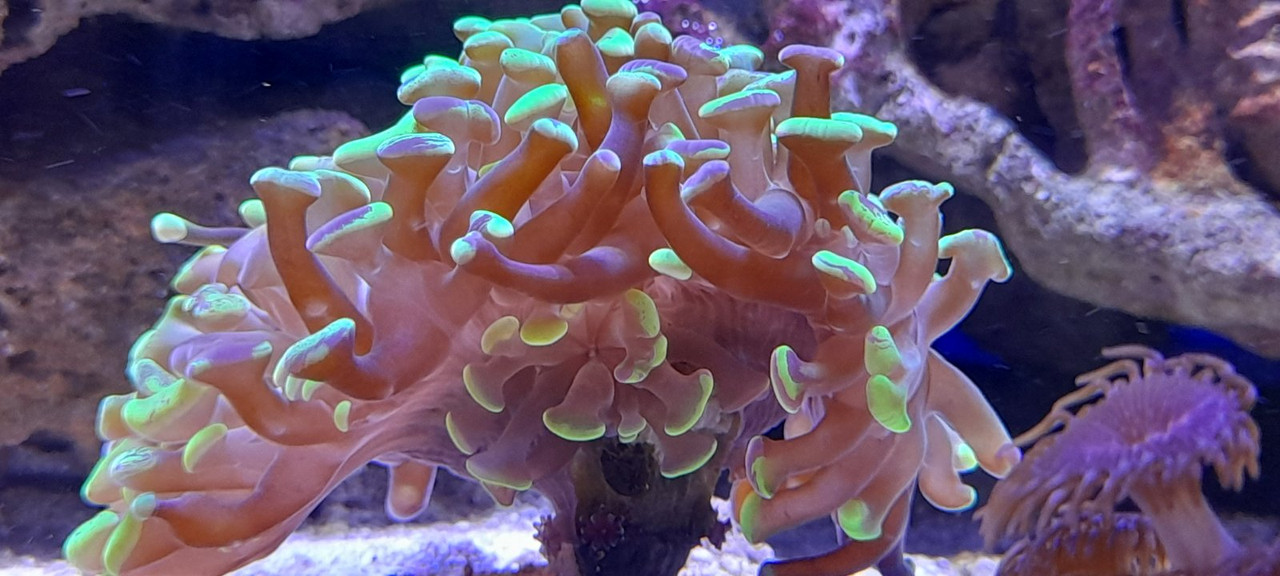 изображение_viber_2021-01-24_13-15-35