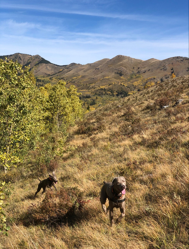 4E601C39-F0CA-4F78-BE61-1326C96B16B3