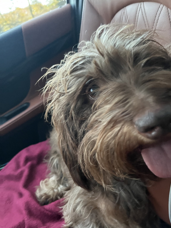 [Image: 086-D0480-A3-F4-4-BFD-B306-F773282-EC5-BA.jpg]