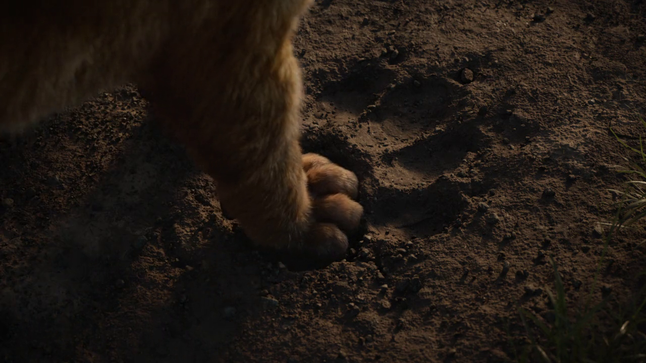 300mbunited.me--00006