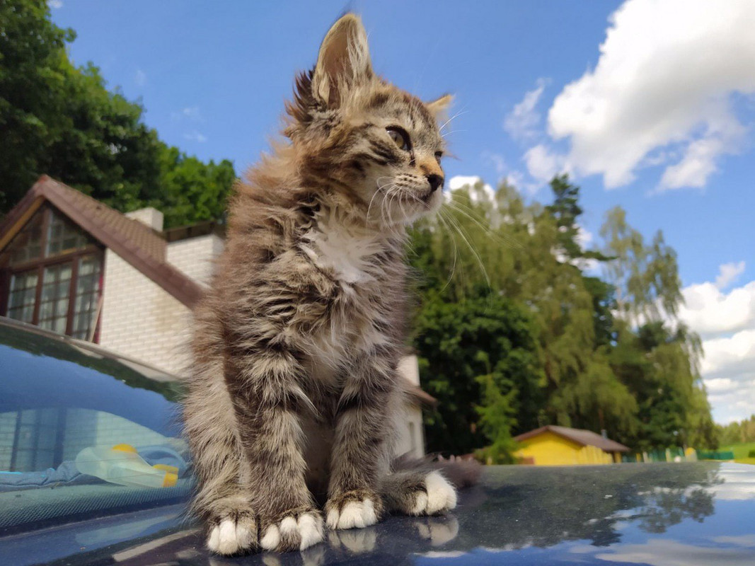 F9954BD5-4814-46EF-9F68-158ADB362D05