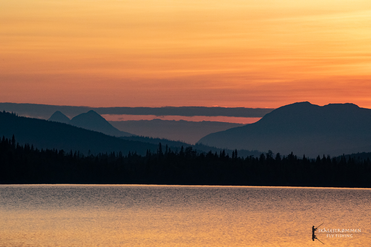 932C7A98-F2B1-4BB2-8F41-9094390F6CEC