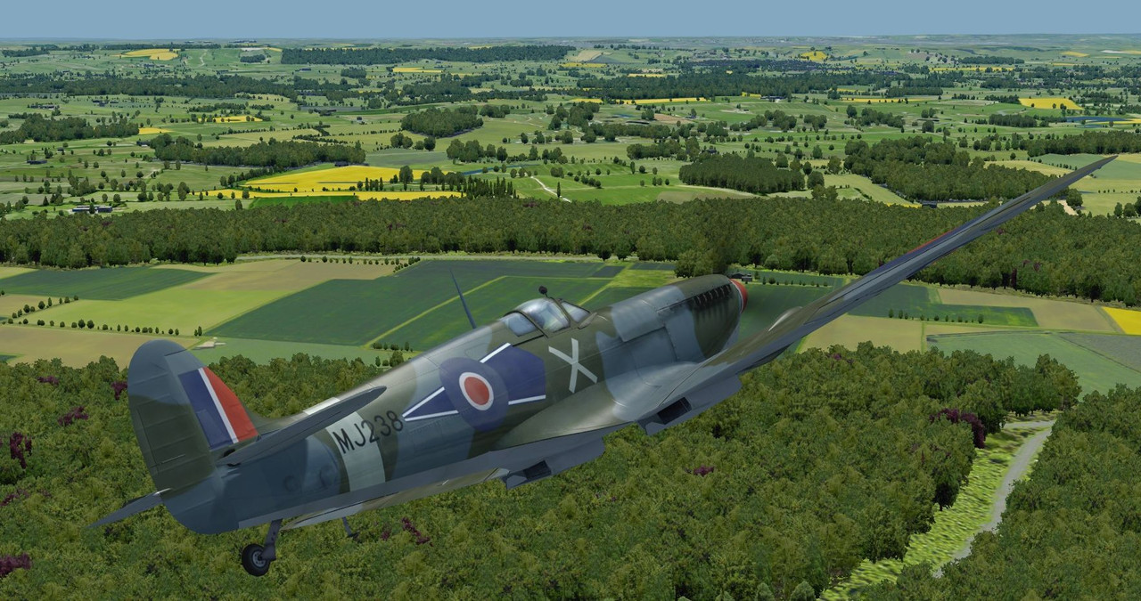 ap-1.jpg