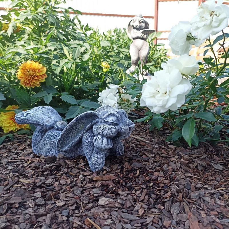 photo_2024-09-06_19-47-44