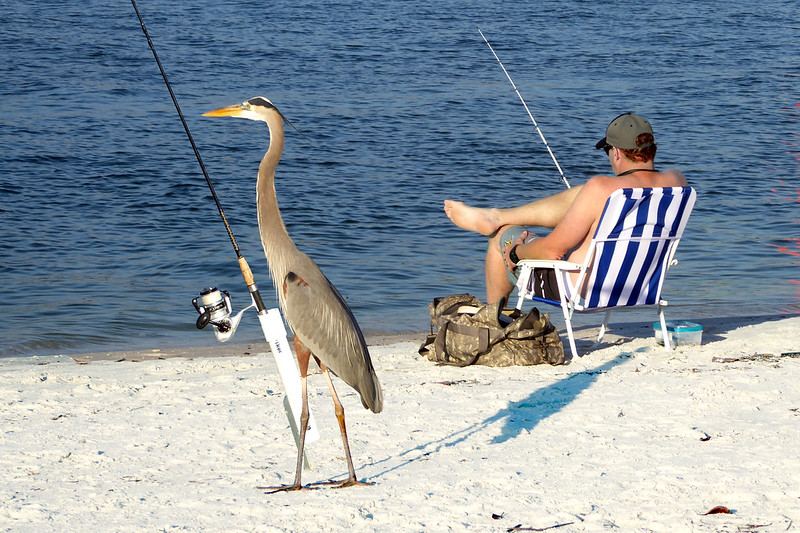 peopleheronfisherman.jpg
