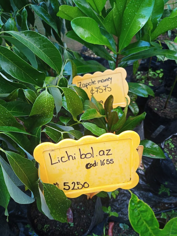 IMG_20221124_162127_196