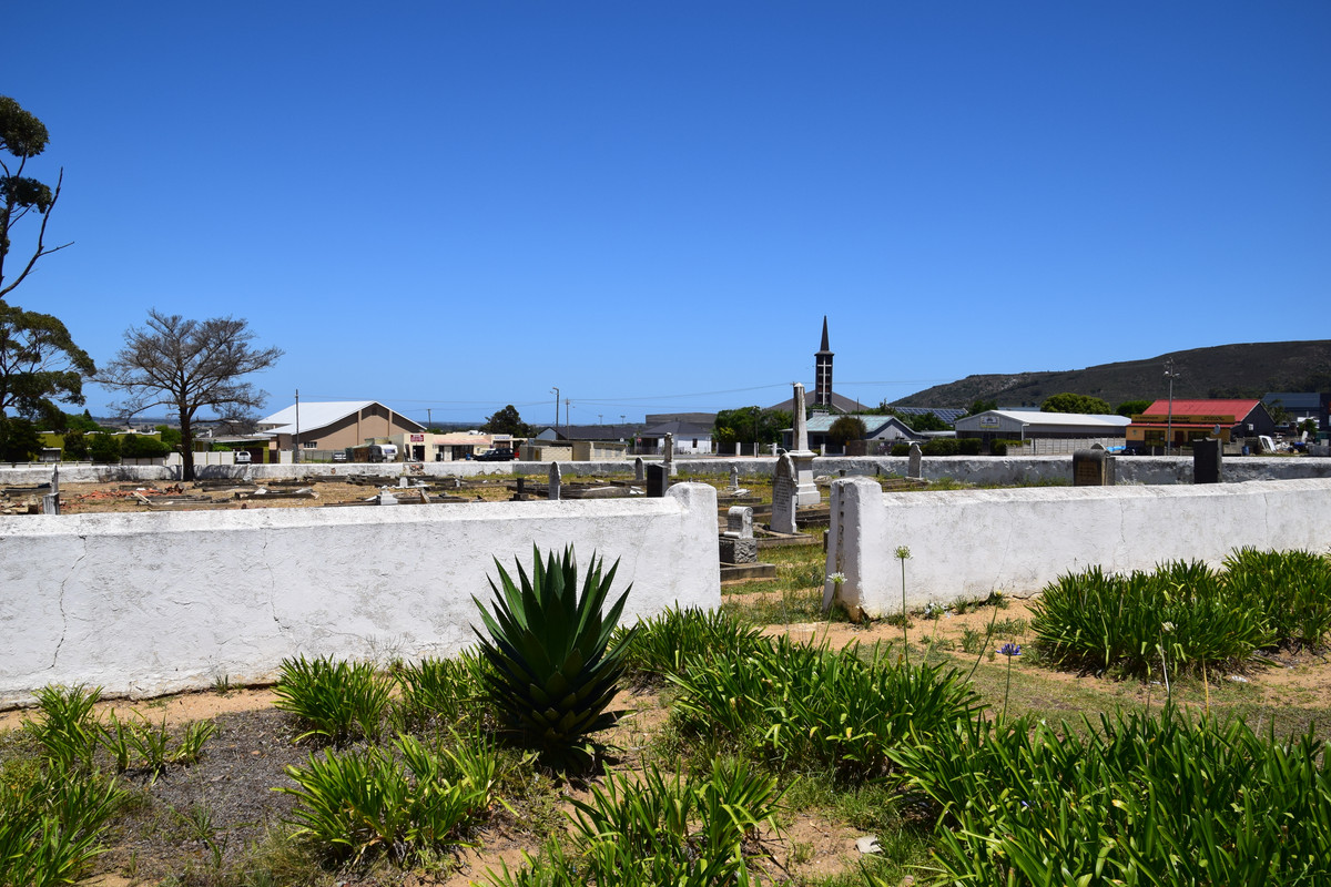 DSC_0054 (2)