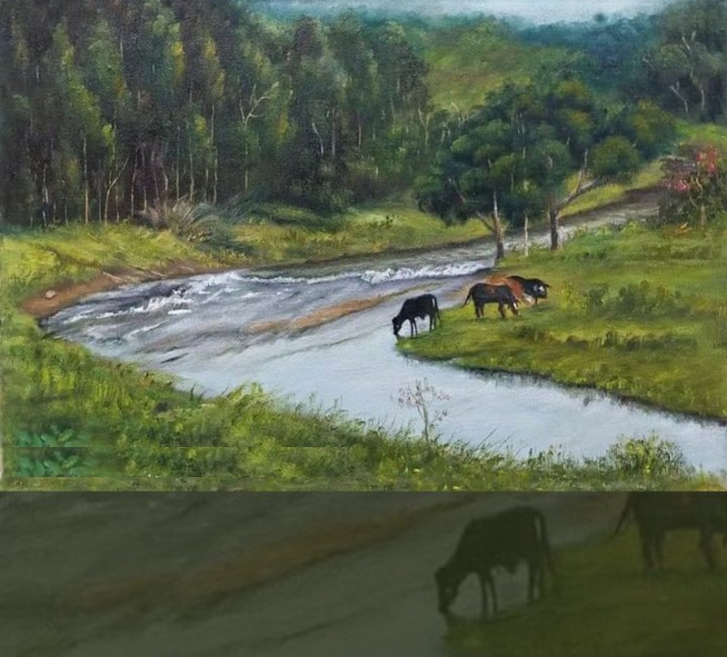 169.jpg