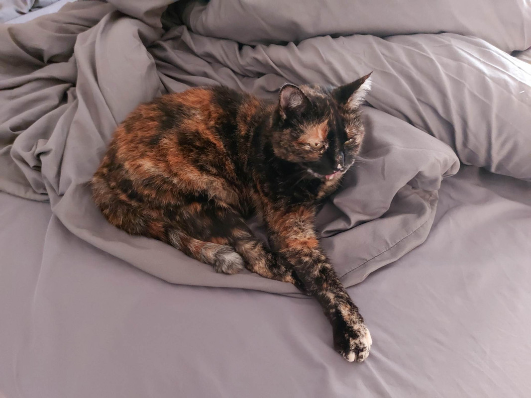 received_748240407057955