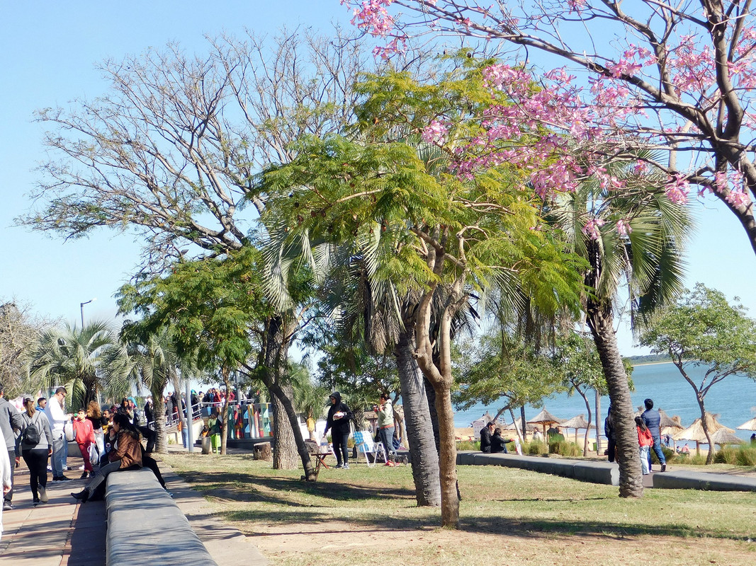 DSCN0182.jpg