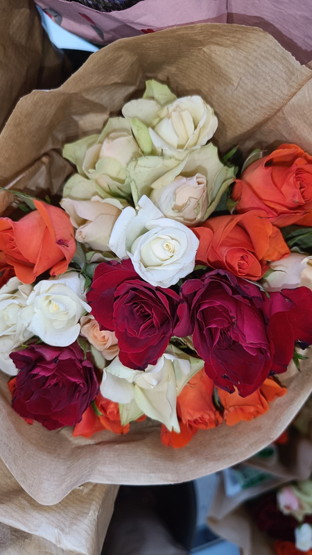 Resize_20240214_120712_2414