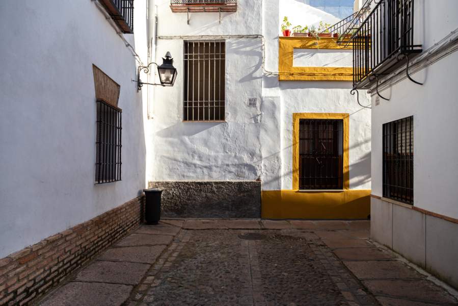 CORDOBA + MEDINA AZAHARA - Blogs de España - 1er día LUNES 9 MARZO (3)