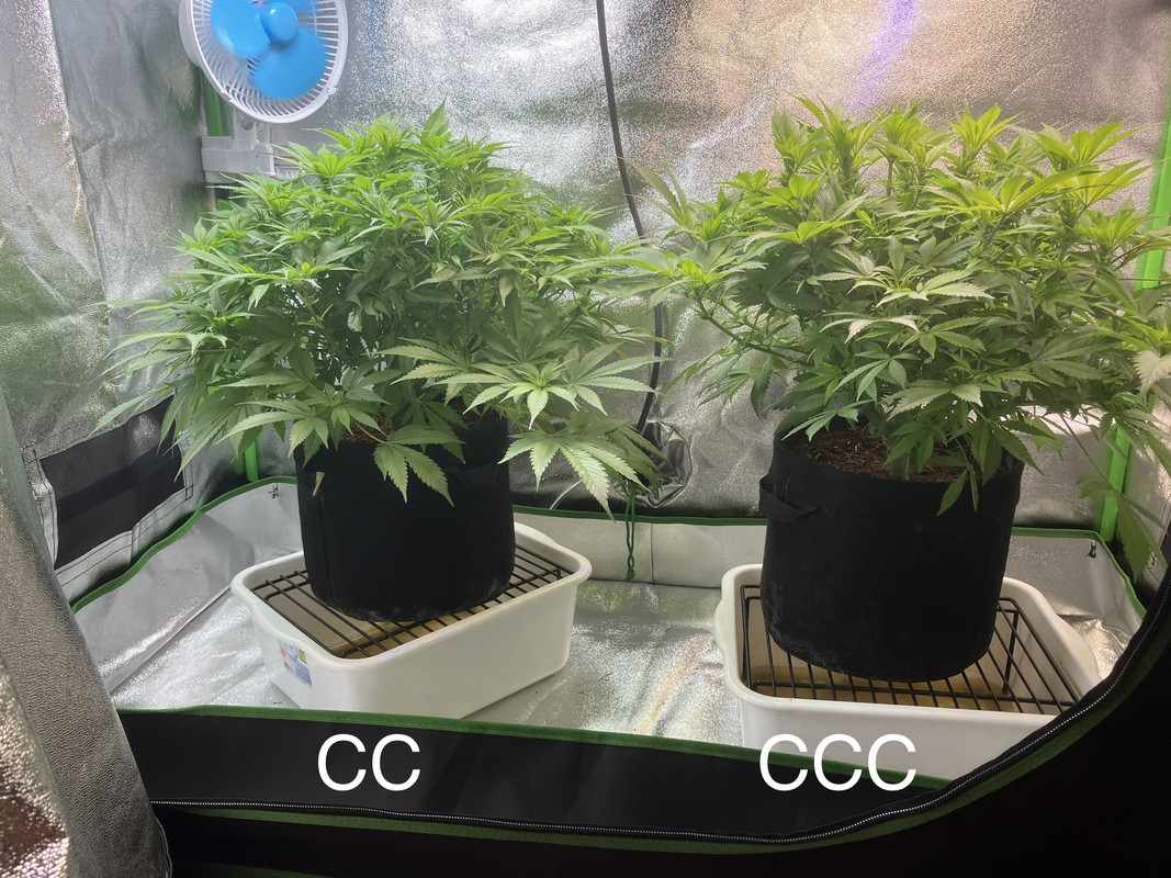 9A1C25E0-7B39-412F-9B97-DD80D07457B5