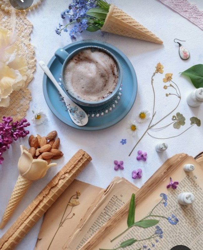 Screenshot_20230309_230720_Pinterest