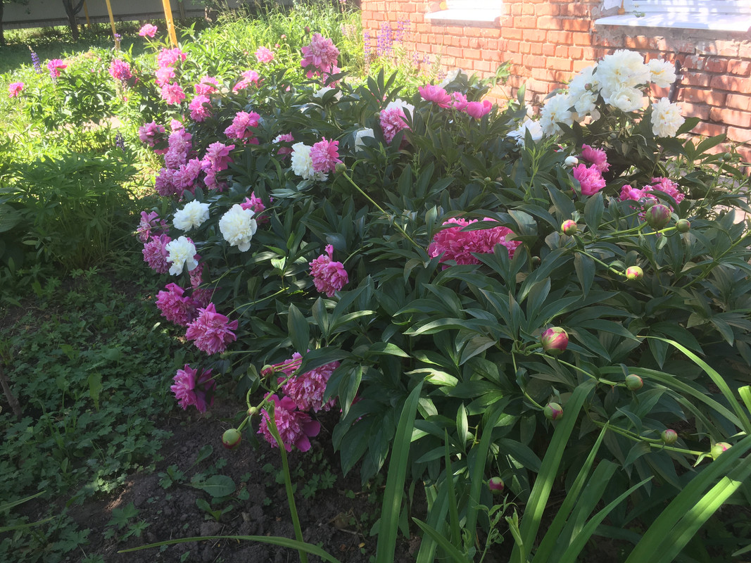 2701EEF3-BA91-46BF-84E4-AEB2EC1F444B