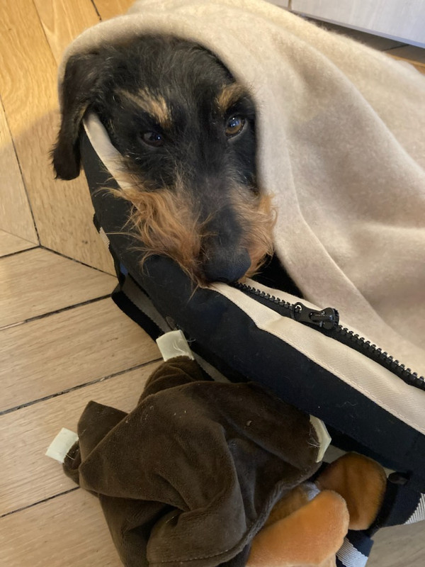 [Image: IMG-20240105-135658.jpg]