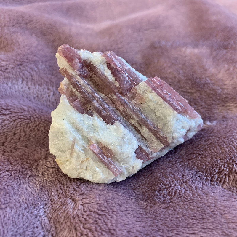 48F6A31B-2569-4143-B8A2-9E1EE8C6EF1C