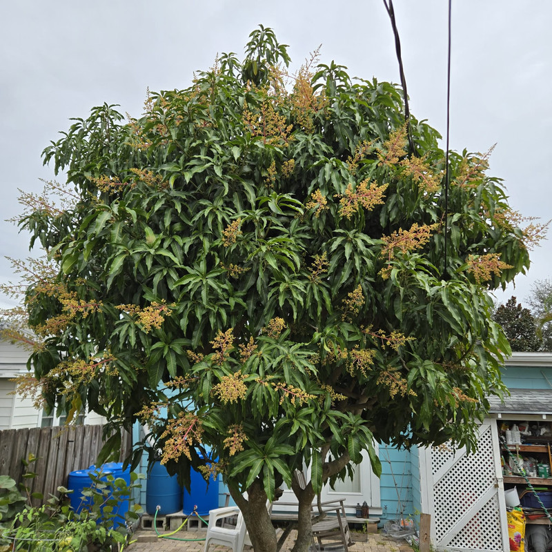 Messenger creation 68614CA0 F3ED 4397 884D 9011FED71324