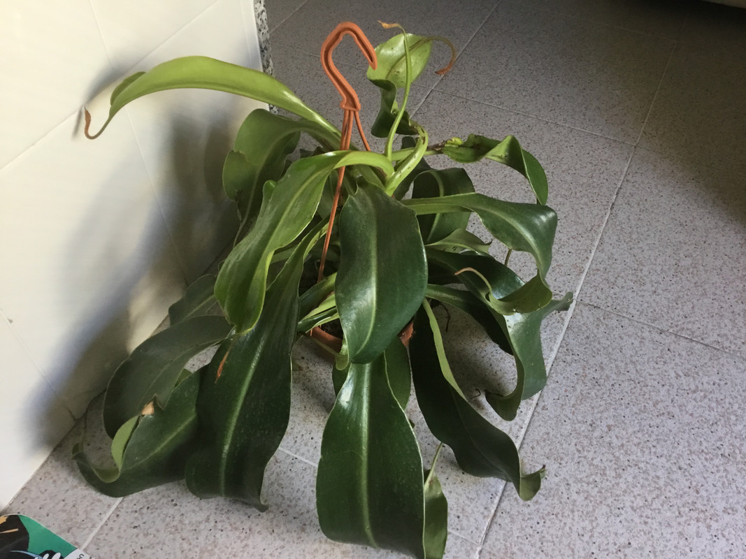 FD29B1DC-710B-4E61-B822-C3FB878DA66B