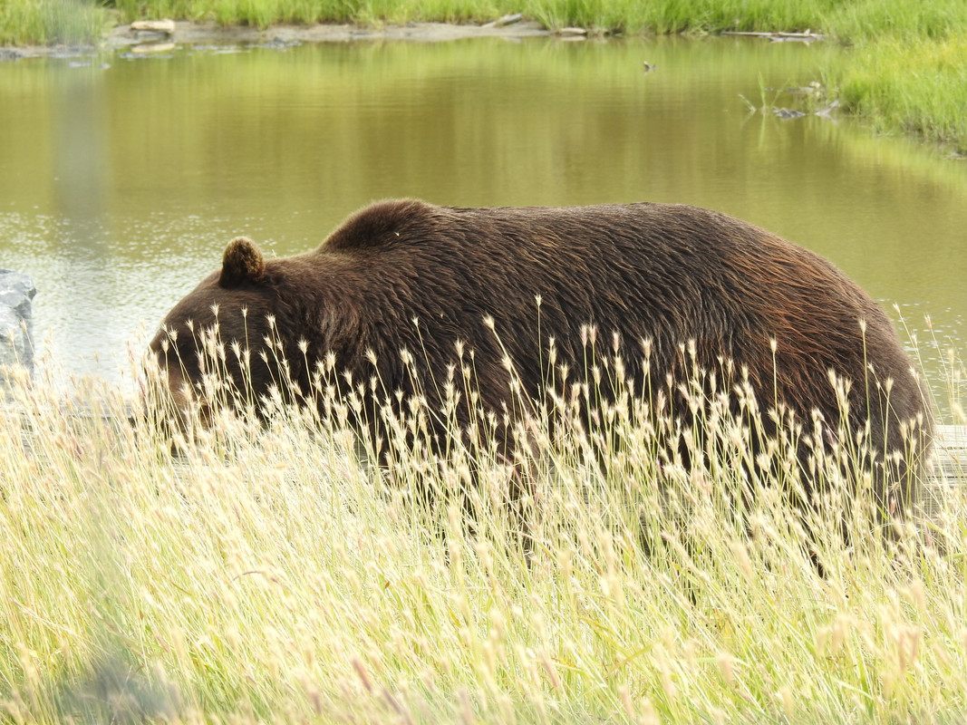 9E8EF9EE-5017-4D3F-8574-A155825B2657