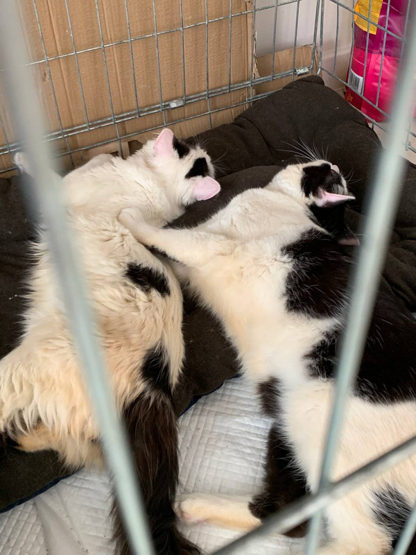 05ED8EB1-BB20-4EE8-A6DE-4F047344E027