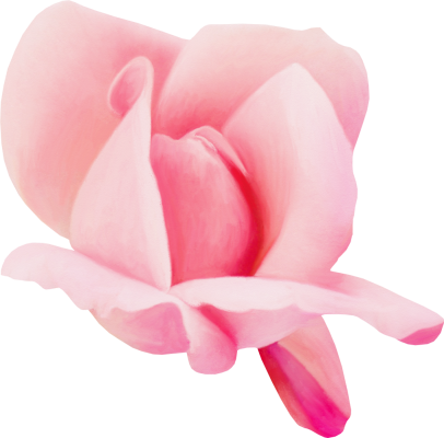 Rose2