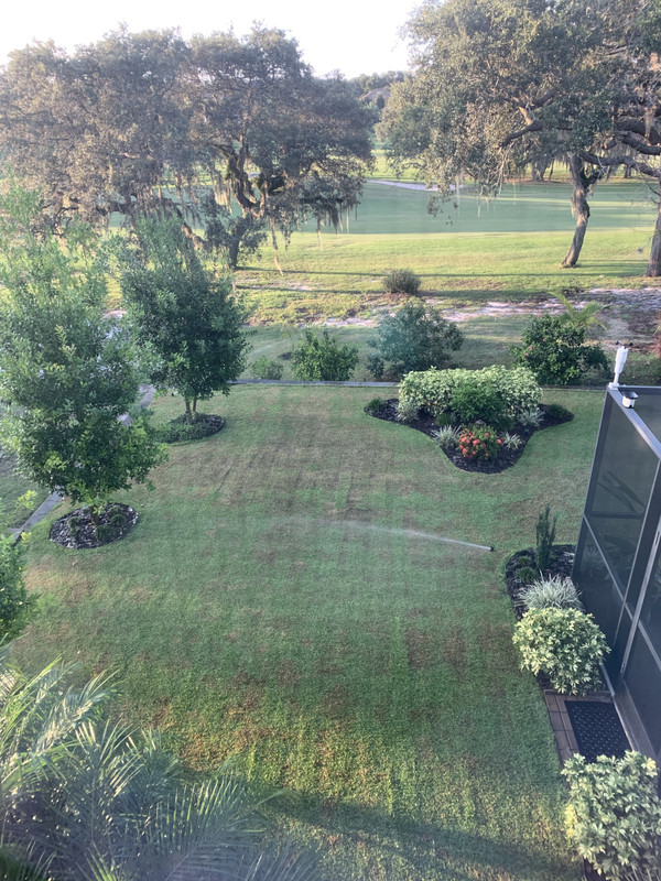 C0AB1D34-5C13-45E0-9697-8355981C7E2B