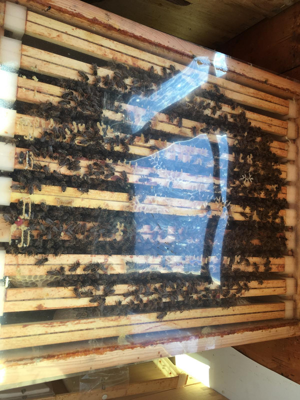 256FDE7E-B0E6-4A52-8565-45B3226F9BB0