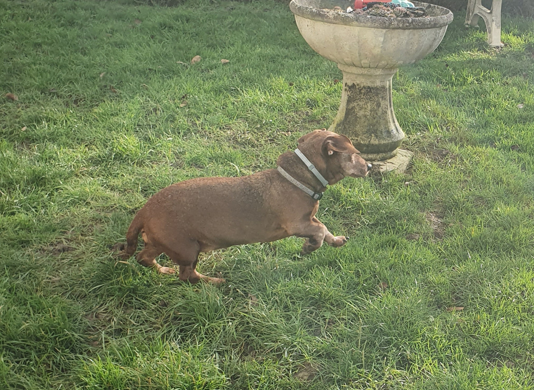 [Image: 20210118-071618.jpg]