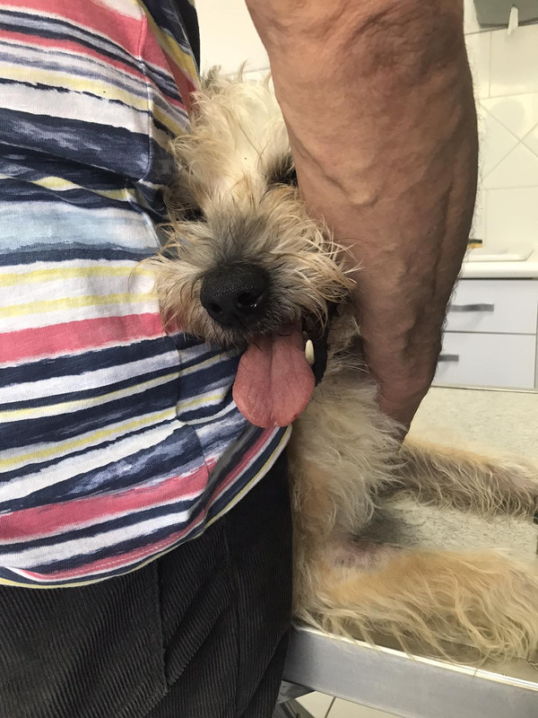 630BFE9E-7D45-4329-8A67-1B86652A049A